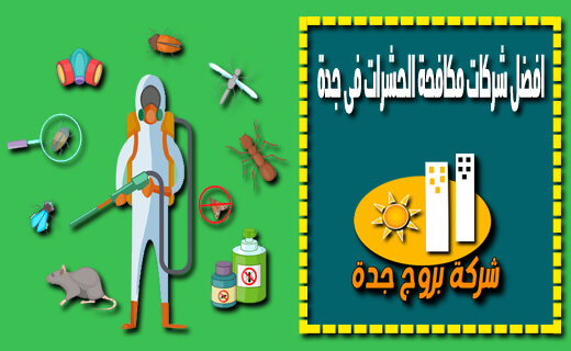 افضل شركات مكافحة الحشرات فى جدة