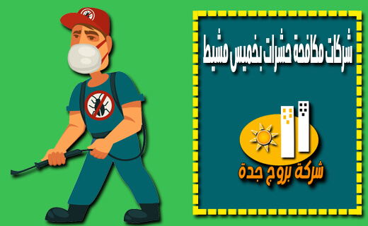 شركات مكافحة حشرات بخميس مشيط